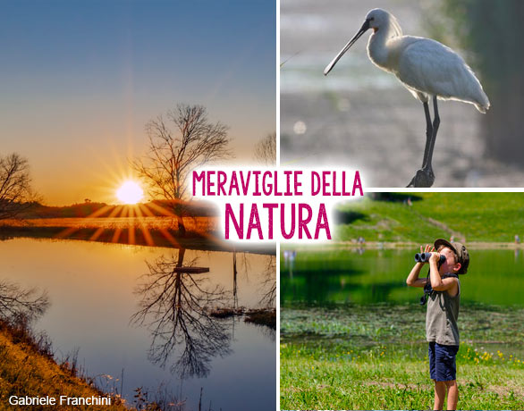 via-francigena-bird-watching