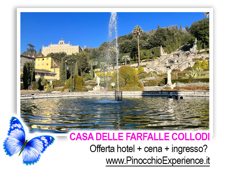 Casa delle Farfalle Collodi Toscana - Le fontane del giardino