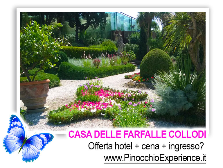 Casa delle Farfalle Collodi Toscana - Il giardinoo
