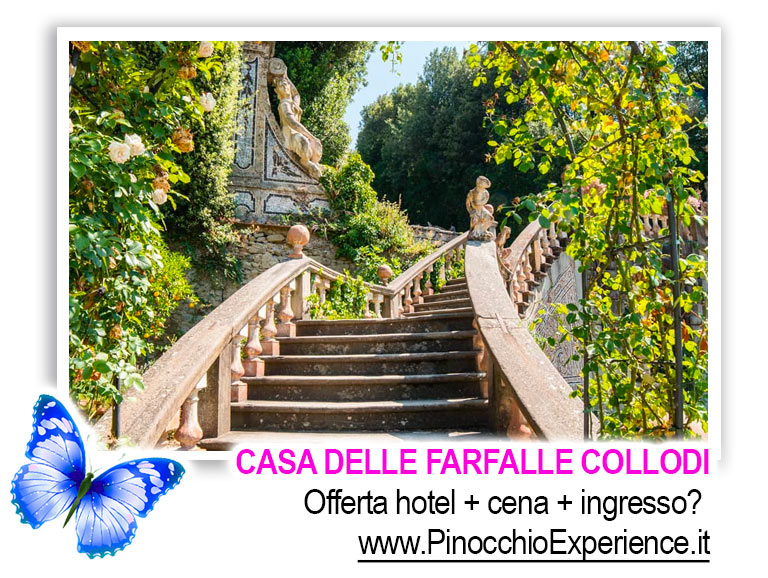 Casa delle Farfalle Collodi Toscana - Scalinata